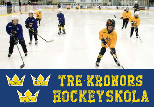 Tk Hockeyskola